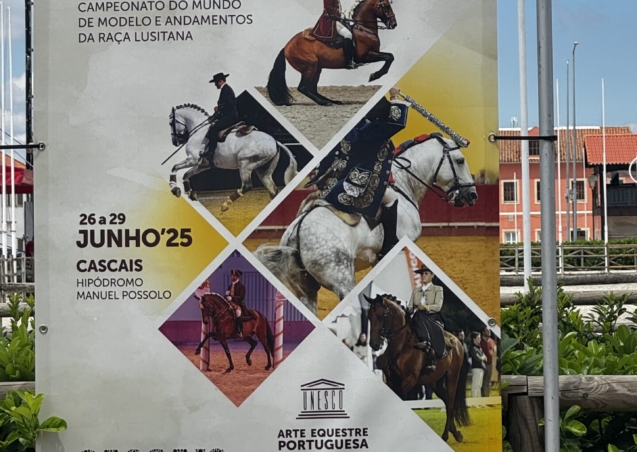 IMG_4997.jpeg