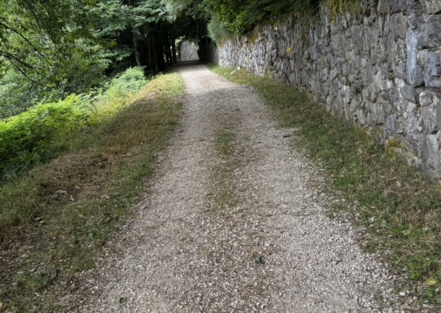 IMG_5348.jpeg